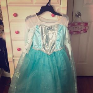 Elsa from Frozen Disney Costume